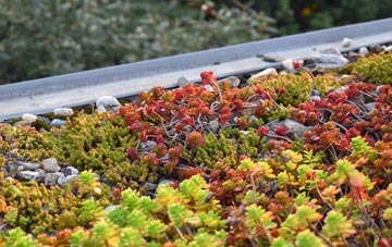 the cost of Mellis green roof installation