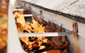 Mellis gutter cleaning companies