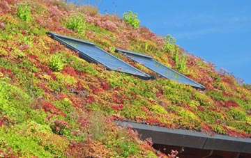 Mellis living roof systems