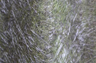 Mellis fibreglass roof work